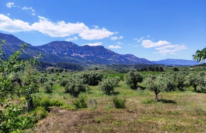 Reventa - Parcela / Terreno - Benimassot