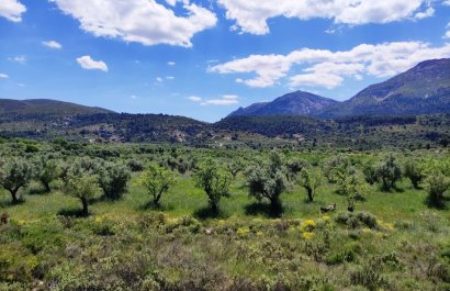 Reventa - Parcela / Terreno - Benimassot