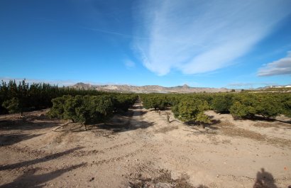 Resale - Country House - Murcia - Costa Blanca
