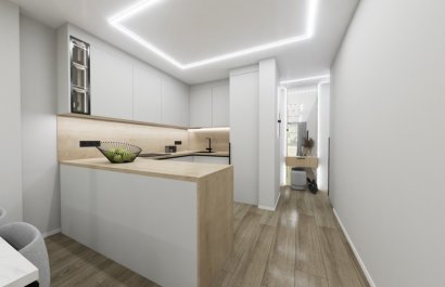 Obra nueva - Apartments - Flats - Torrevieia - Torrevieja
