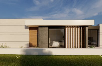 New Build - Villa - Pilar de la Horadada