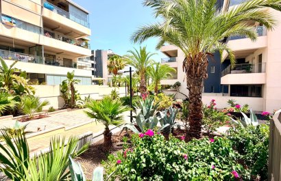 Reventa - Apartments - Flats - Orihuela Costa - La Zenia