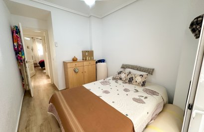 Herverkoop - Apartments - Flats - Torrevieia - Center