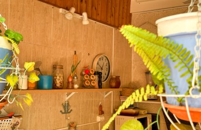 Herverkoop - Apartments - Flats - Torrevieia - Center