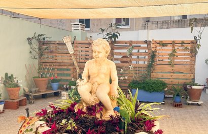 Herverkoop - Apartments - Flats - Torrevieia - Center