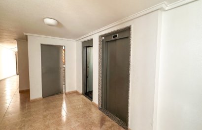 Reventa - Apartments - Flats - Torrevieia - Torrevieja