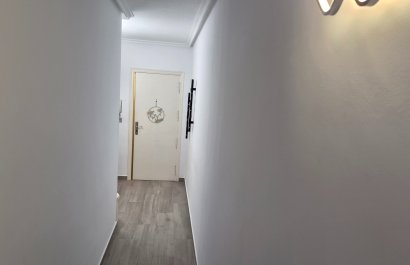 Resale - Apartments - Flats - Torrevieia - Torrevieja