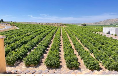 Reventa - Apartments - Flats - Algorfa - Pueblo