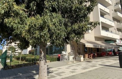 Reventa - Comercial - Marbella - Nueva Andalucía