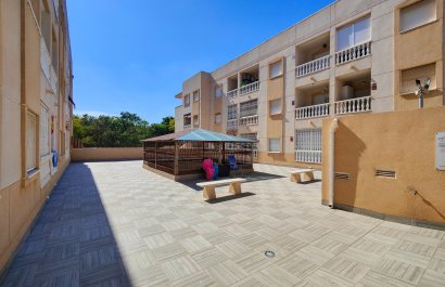Reventa - Apartments - Flats - Torrevieia - Center