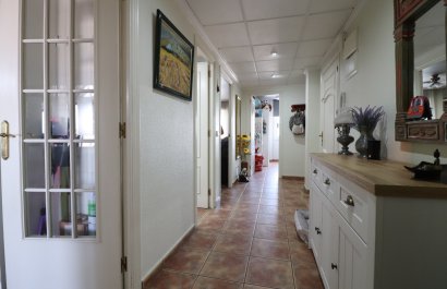 Reventa - Apartments - Flats - Dolores - Dolores - Town