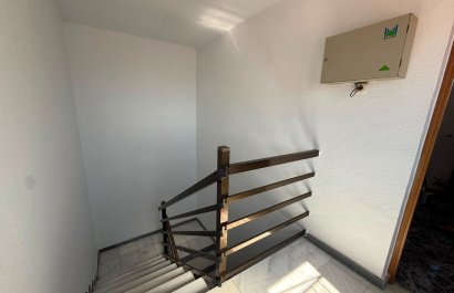 Herverkoop - Apartments - Flats - Guardamar del Segura