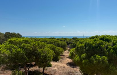 Herverkoop - Apartments - Flats - Guardamar del Segura
