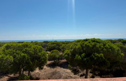 Herverkoop - Apartments - Flats - Guardamar del Segura
