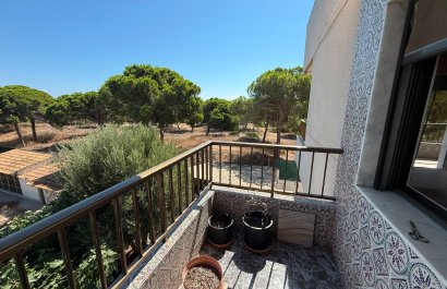 Herverkoop - Apartments - Flats - Guardamar del Segura
