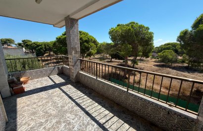Herverkoop - Apartments - Flats - Guardamar del Segura