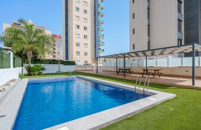 Reventa - Apartments - Flats - Guardamar del Segura - Guardamar