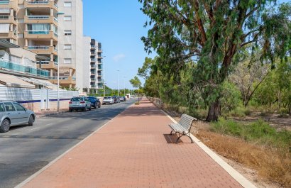 Reventa - Apartments - Flats - Guardamar del Segura - Guardamar