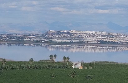 Resale - Apartments - Flats - Torrevieia - Los Balcones