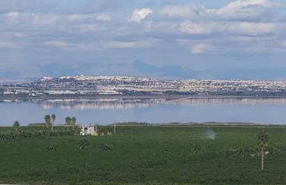 Resale - Apartments - Flats - Torrevieia - Los Balcones