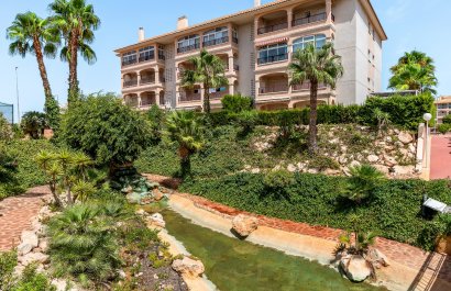 Reventa - Apartments - Flats - Orihuela Costa - Playa Flamenca