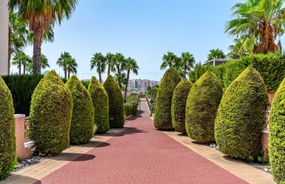 Reventa - Apartments - Flats - Orihuela Costa - Playa Flamenca
