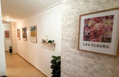 Reventa - Apartments - Flats - Torrevieia - Center