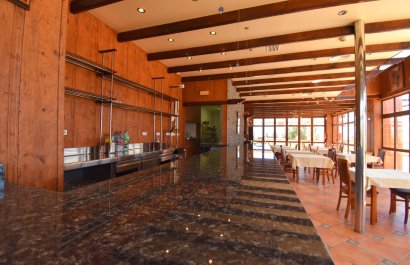 Herverkoop - Commercial (Freehold) - Orihuela Costa - Los Dolses