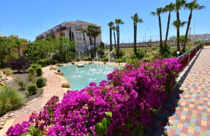 Reventa - Apartments - Flats - Orihuela Costa - Playa Flamenca