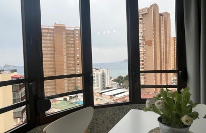 Resale - Apartments - Flats - Benidorm - Levante