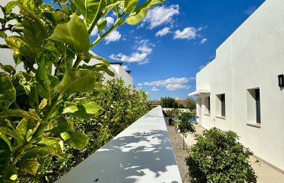 New Build - Villa - Benijofar