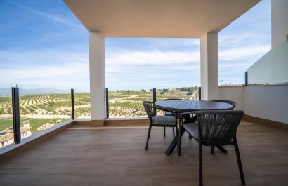 Obra nueva - Villa - Algorfa