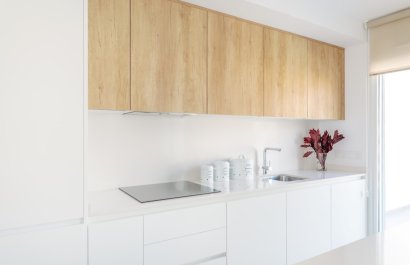 Obra nueva - Villa - Finestrat