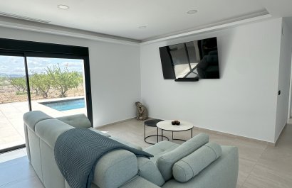 Obra nueva - Villa - Pinoso