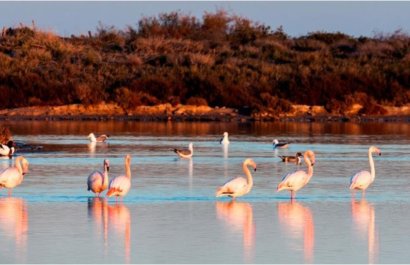 New Build - Villa - San Pedro del Pinatar