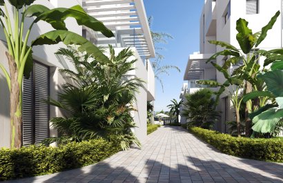 New Build - Apartment / flat - Torre Pacheco