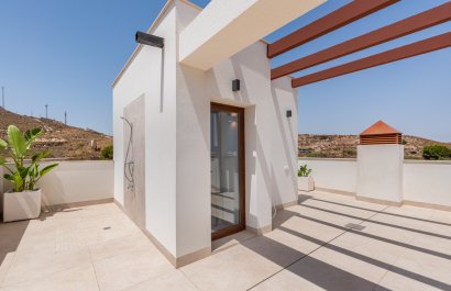 New Build - Villa - Vera